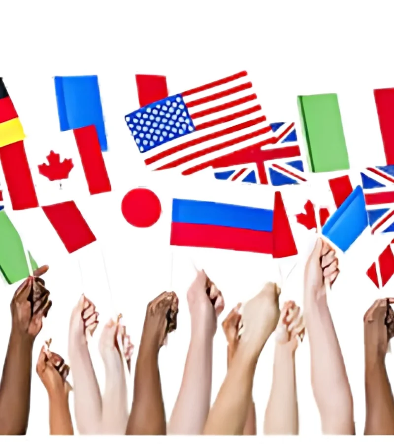 hand flag supplier in India